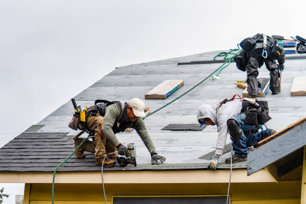 Professional Flat Roof Repair technician working in Viola, IL